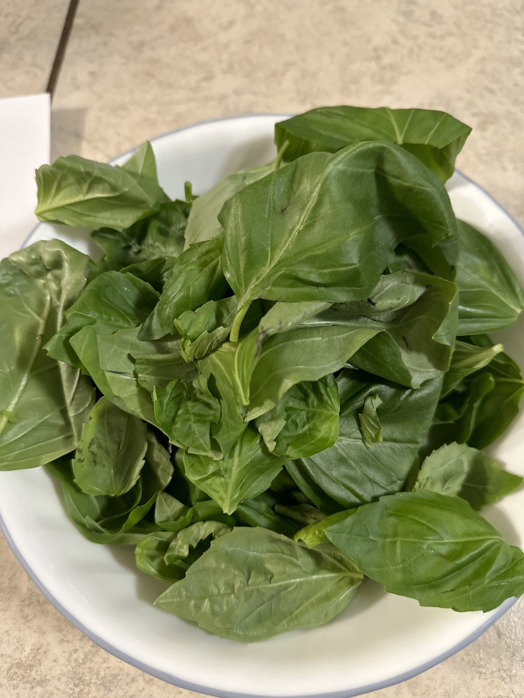 Shrimp with Basil Pesto&nbsp;Pasta